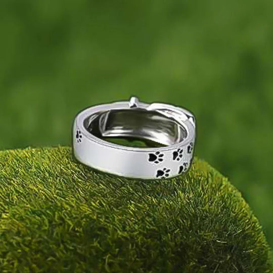 Anello Collare Cane